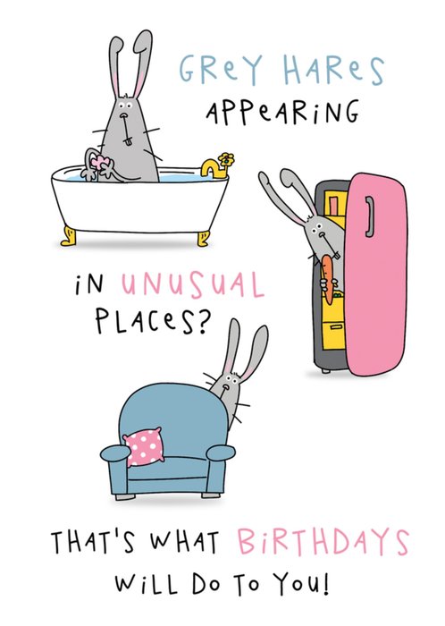 Grey Hairs Humourous Hare Illustrated Birthday Card