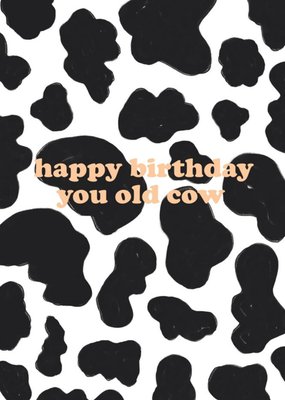 Chloe Turner Happy Birthday you old cow Card