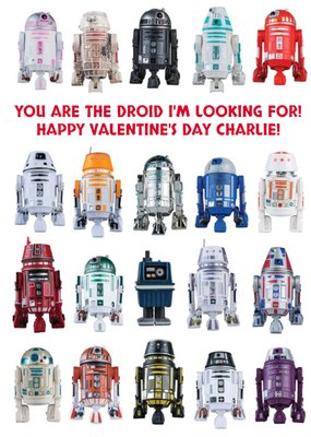 Star Wars You AreThe Droid I'm looking For Valentine's Day Card