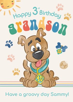 Scooby Doo Happy 3rd Birthday Grandson Card