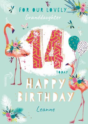 Illustrations Of Pink Flamingos Flowers And Balloons Granddaughter's Fourteenth Birthday Card