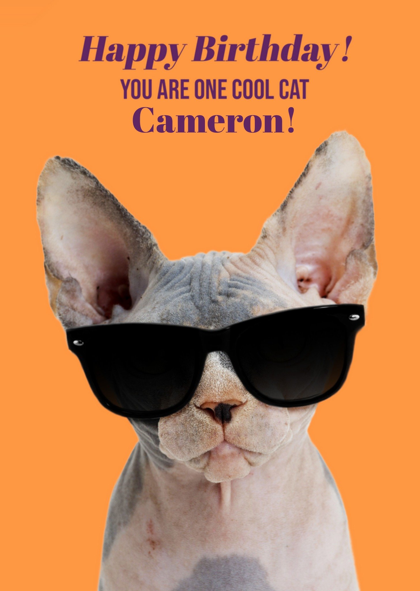 Moonpig You Are One Cool Cat Birthday Card Ecard