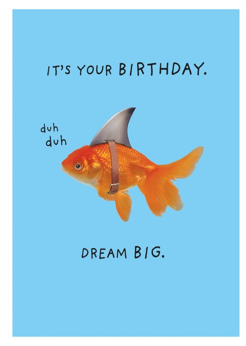Funny It's Your Birthday Dream Big Shark Disguise Goldfish Birthday Card