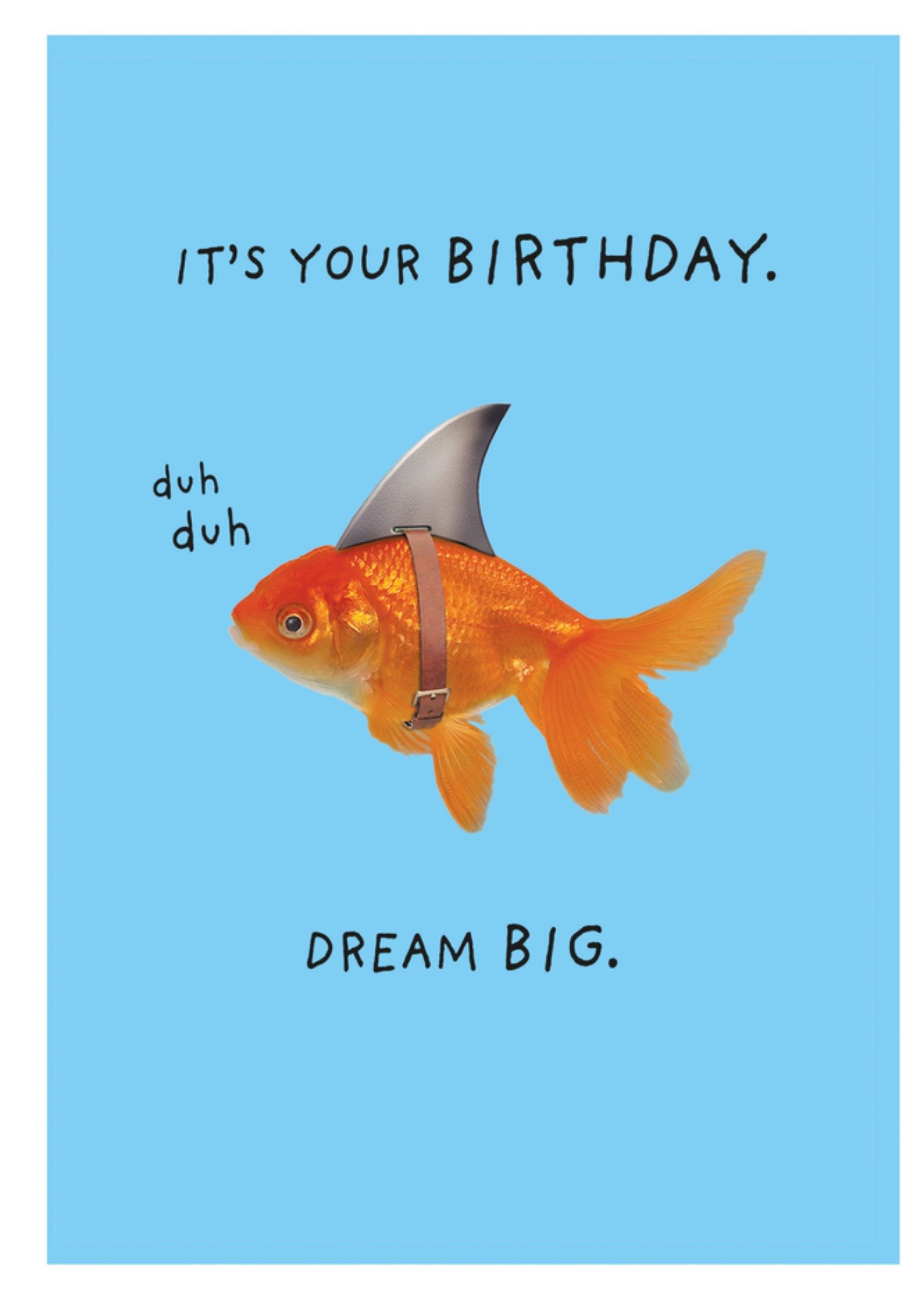 Moonpig Funny It's Your Birthday Dream Big Shark Disguise Goldfish Birthday Card, Large