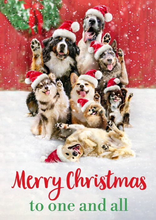 Cute Dogs In Santa Hats Christmas Card