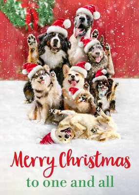 Cute Dogs In Santa Hats Christmas Card