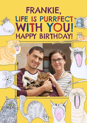 Quirky Illustrations Of Cats Photo Upload Birthday Card