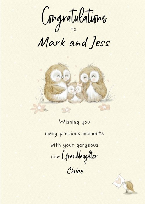 Illustrated Owls Customisable New Grandparents Card