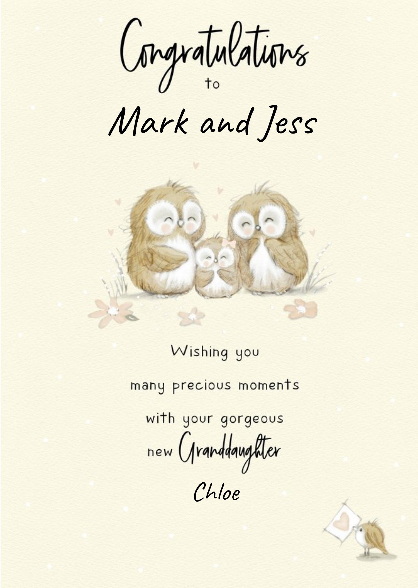 Moonpig Illustrated Owls Customisable New Grandparents Card