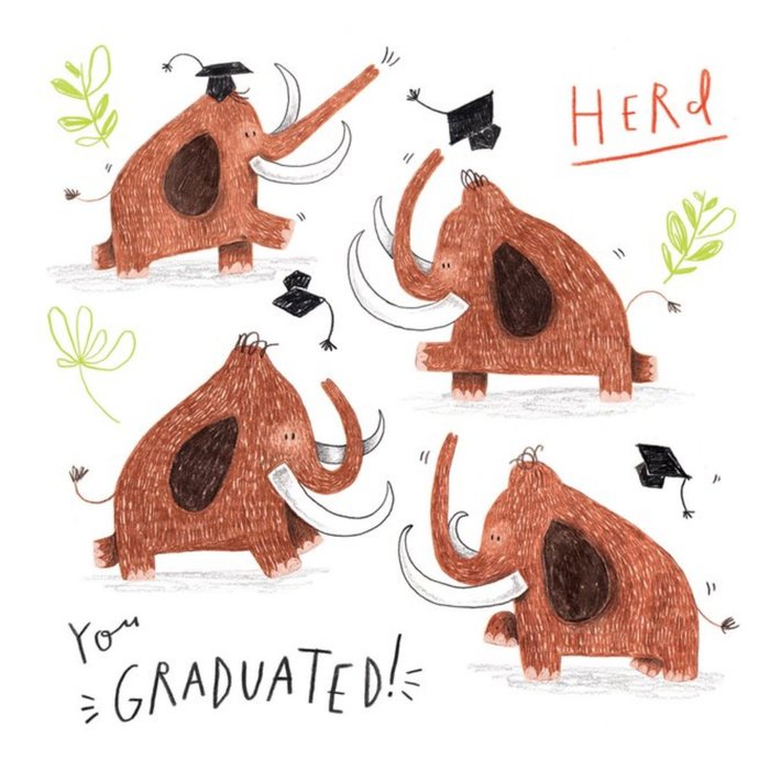 Graduation Card - Animals - Elephant