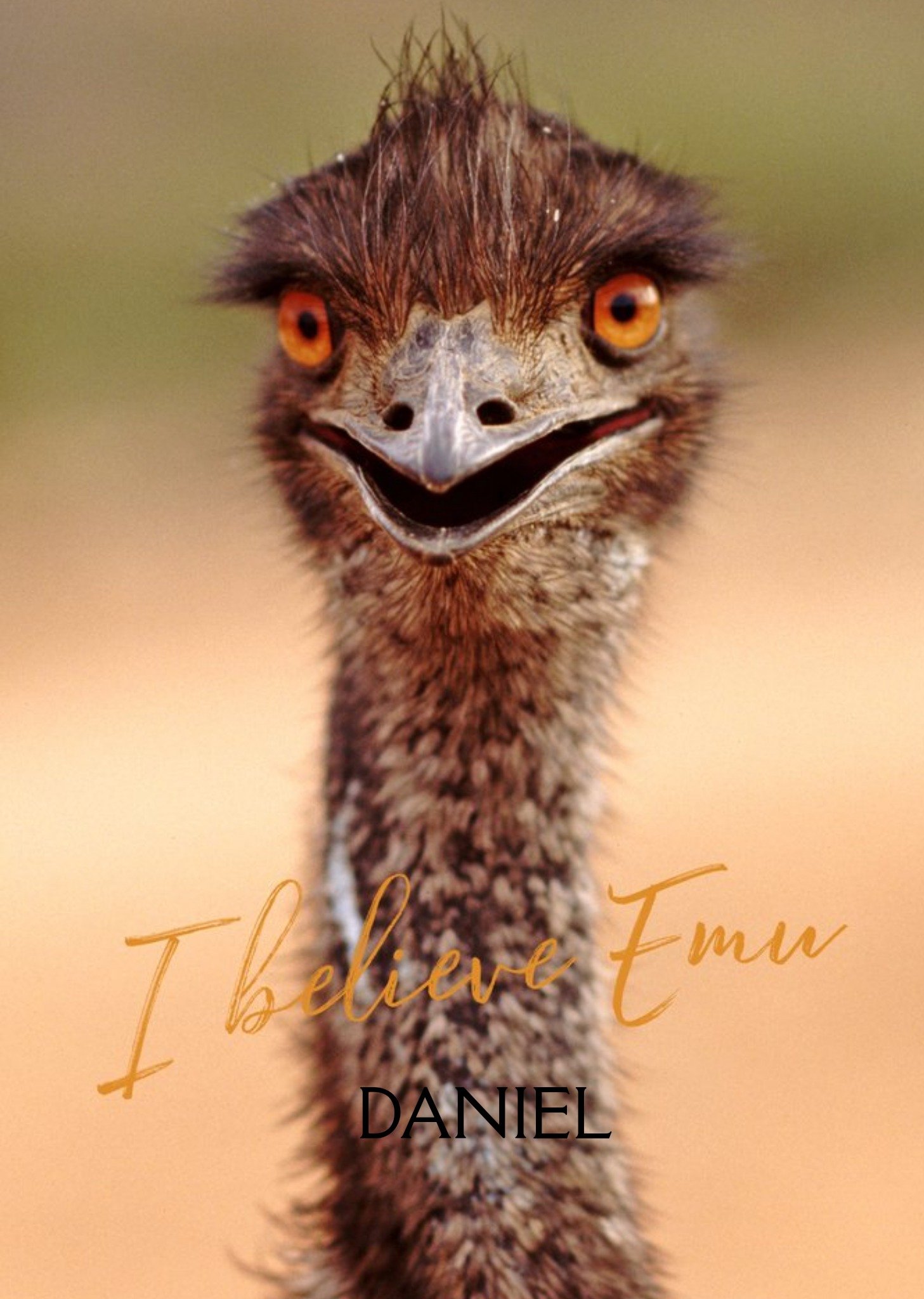Moonpig Photographic Emu Customisable I Believe In You Card