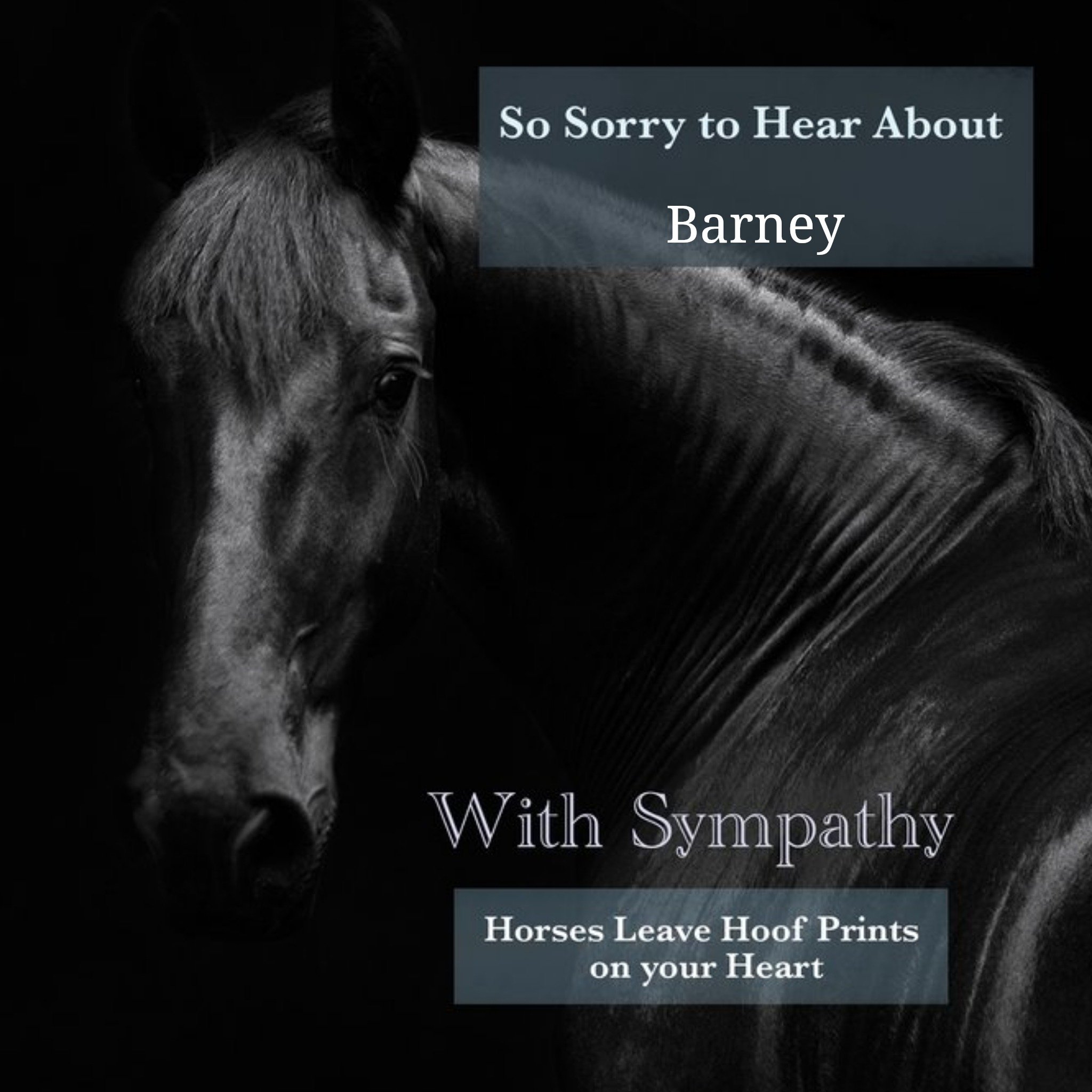 Moonpig Alex Sharp Photogrpahy Horse Sympathy Card