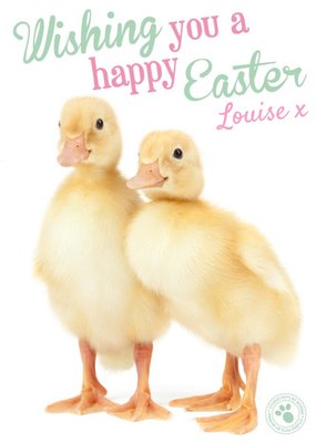 Little Ducklings Happy Easter Personalised Card