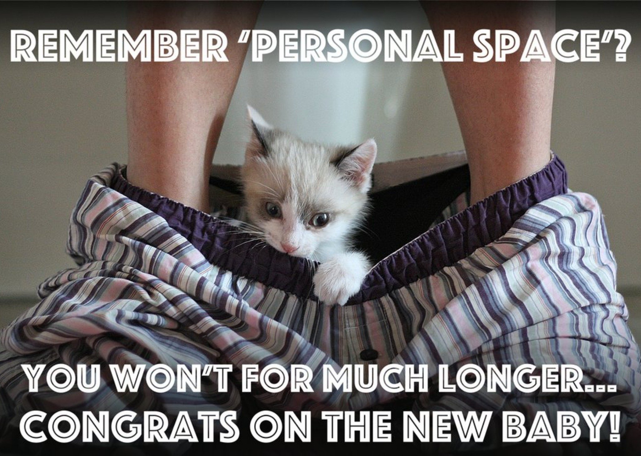 Moonpig Congrats On The New Baby Kitten Image Card