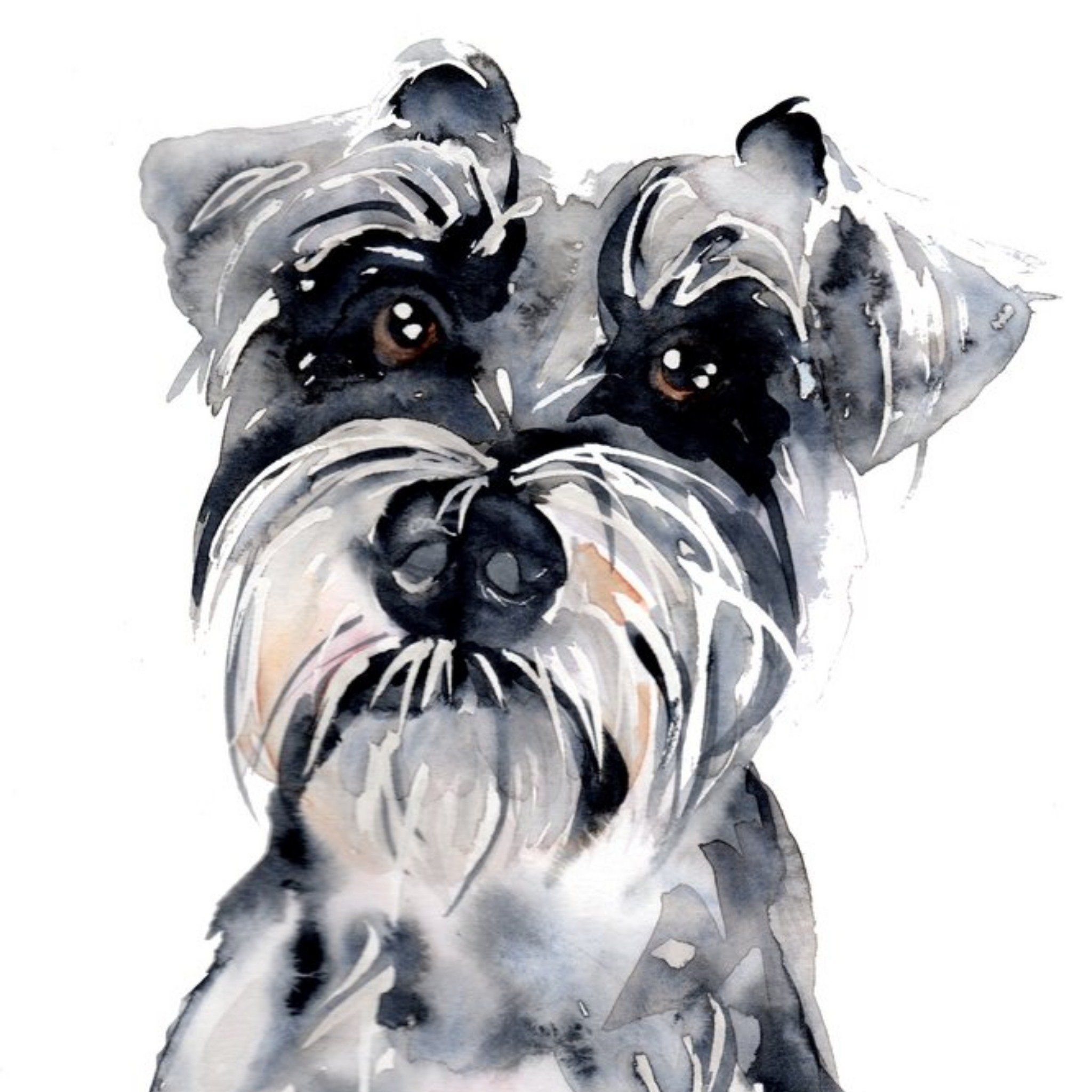 Moonpig Illustrated Watercolour Schnauzer Dog Just A Note Card