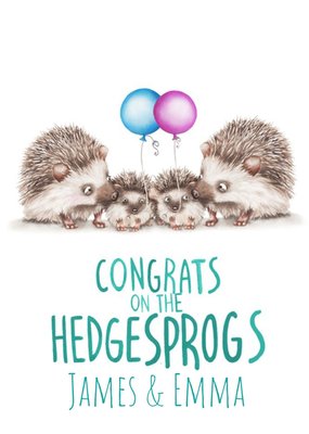 Cute Illustrated Family of Hedgehogs Congratulations Card