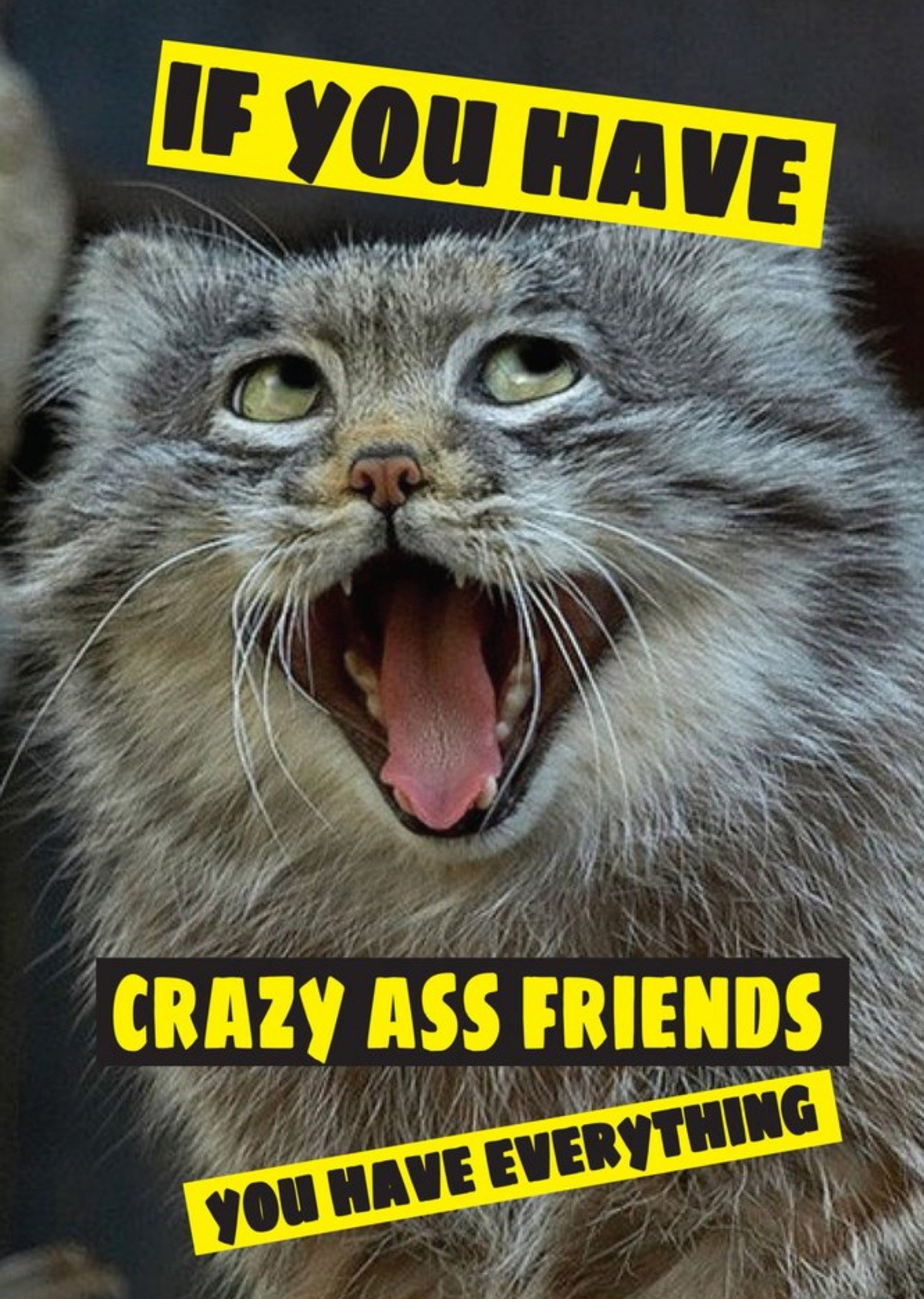 Moonpig Funny Cheeky Chops If You Have Crazy Ass Friends You Have Everything Card