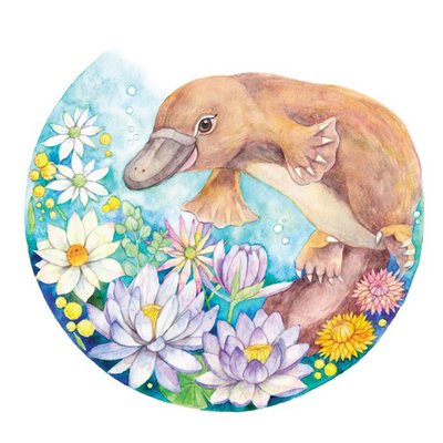 Watercolour By Cat Koala Floral Just A Note Card