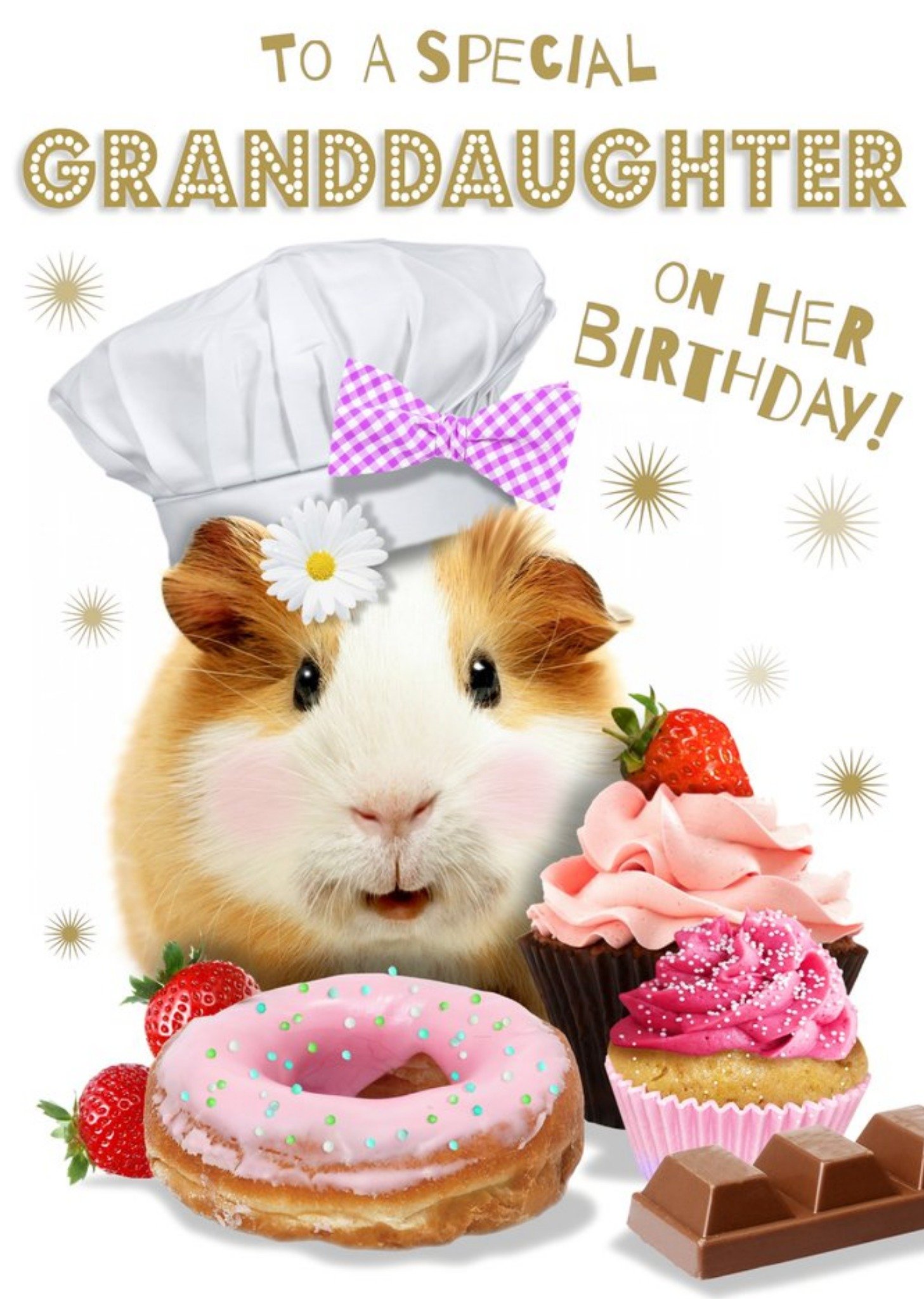 Moonpig To A Special Granddaughter Birthday Guinea Pig Card