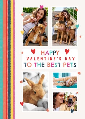 To The Best Pets Photo Upload Valentine's Day Card
