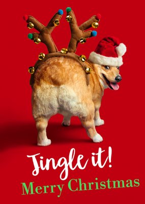 Cute Corgi Jingle It Christmas Card