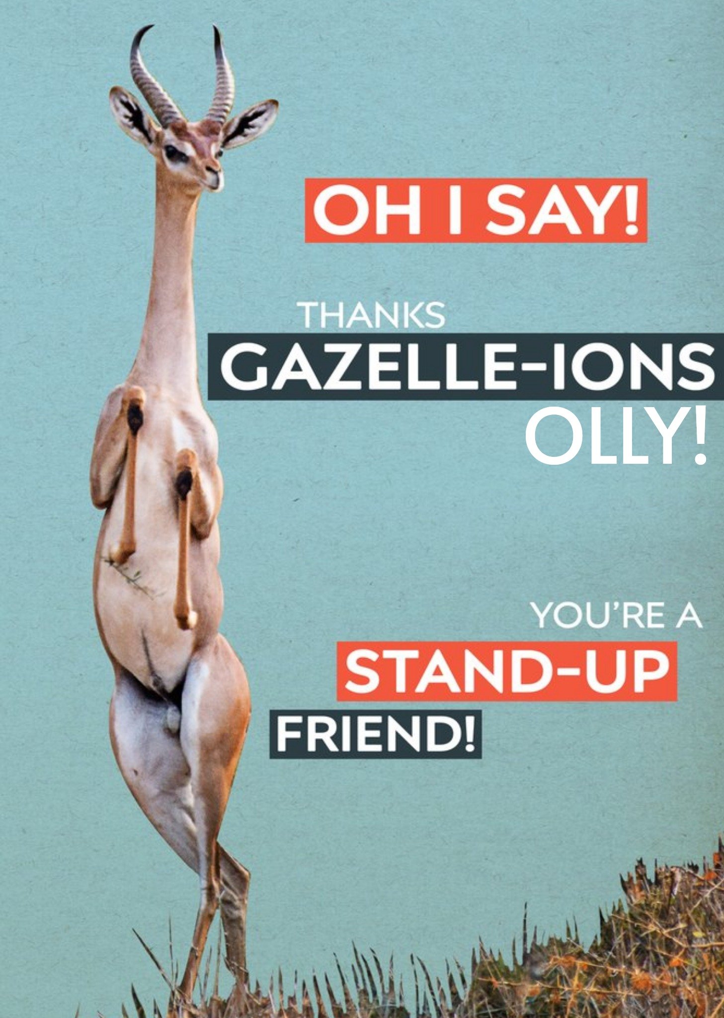 Moonpig Thank You Card - Photo Humour - Animal Antics - Friend