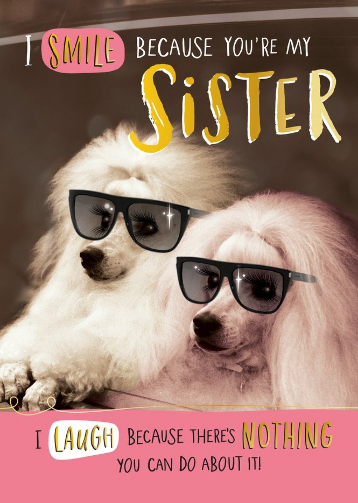Sister Birthday Cards | Moonpig, image size:1457x2048