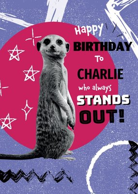 Animal Planet Bright Graphic Illustration Of A Meerkat. You Always Stand Out Birthday Card