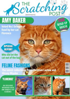 The Scratching Post Cat Magazine Spoof Personalised Photo Upload Happy Birthday Card