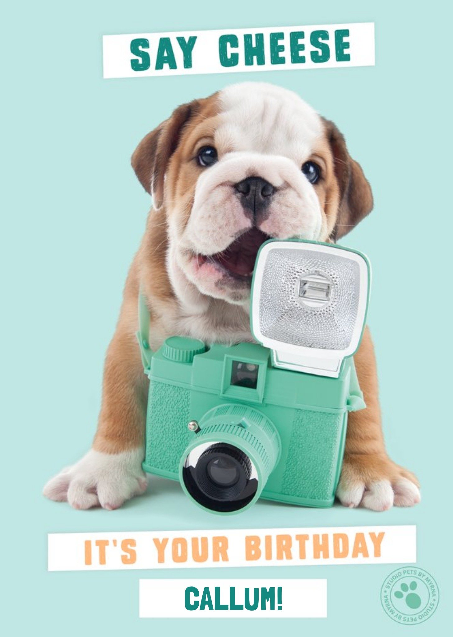Bulldog Skateboard Birthday Card - Funny Dog With Sunglasses Greeting Card