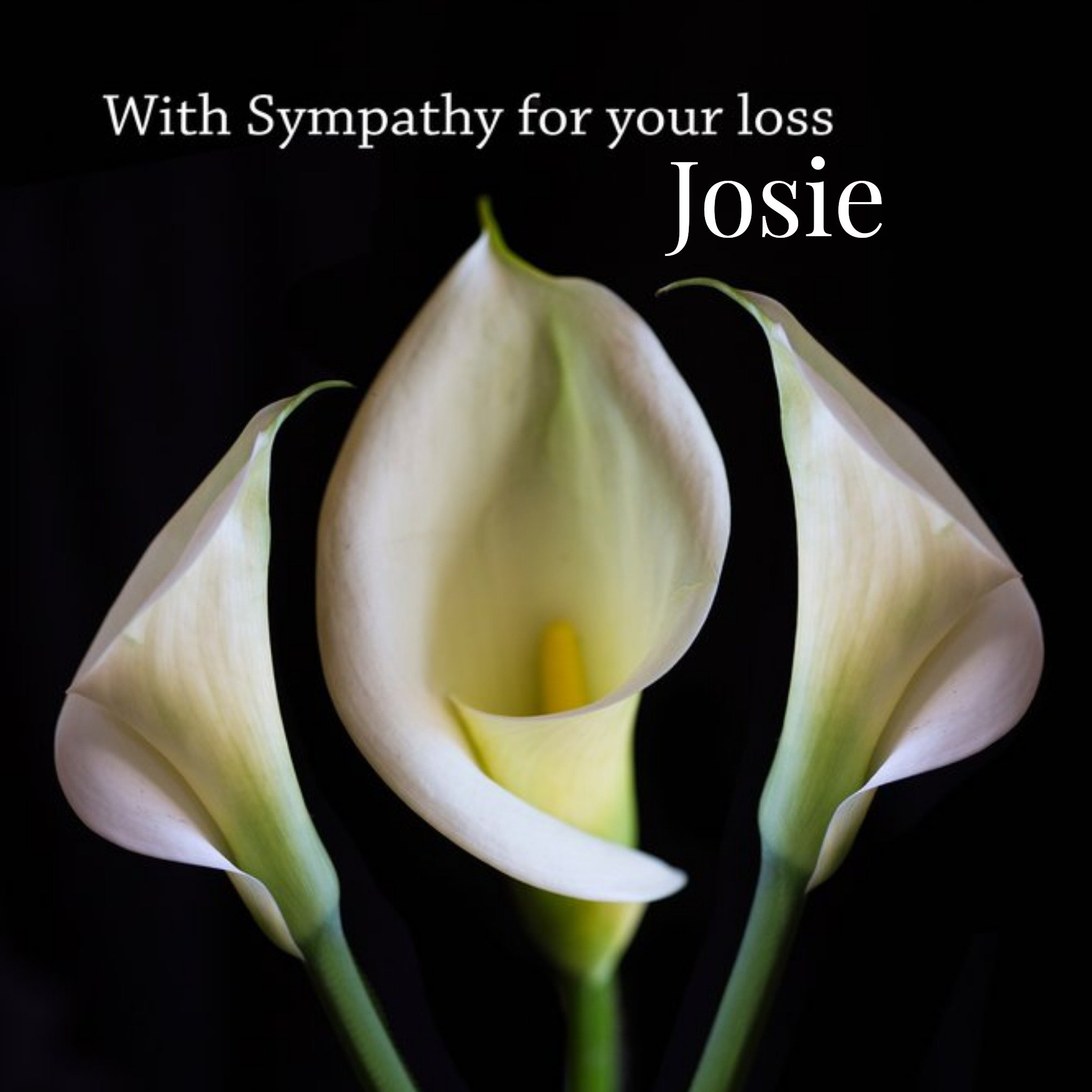 Moonpig Photographic Calla Lily Customisable Sympathy Card