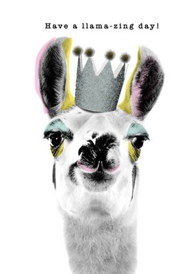 Modern Design Have A Llama Zing Day Card