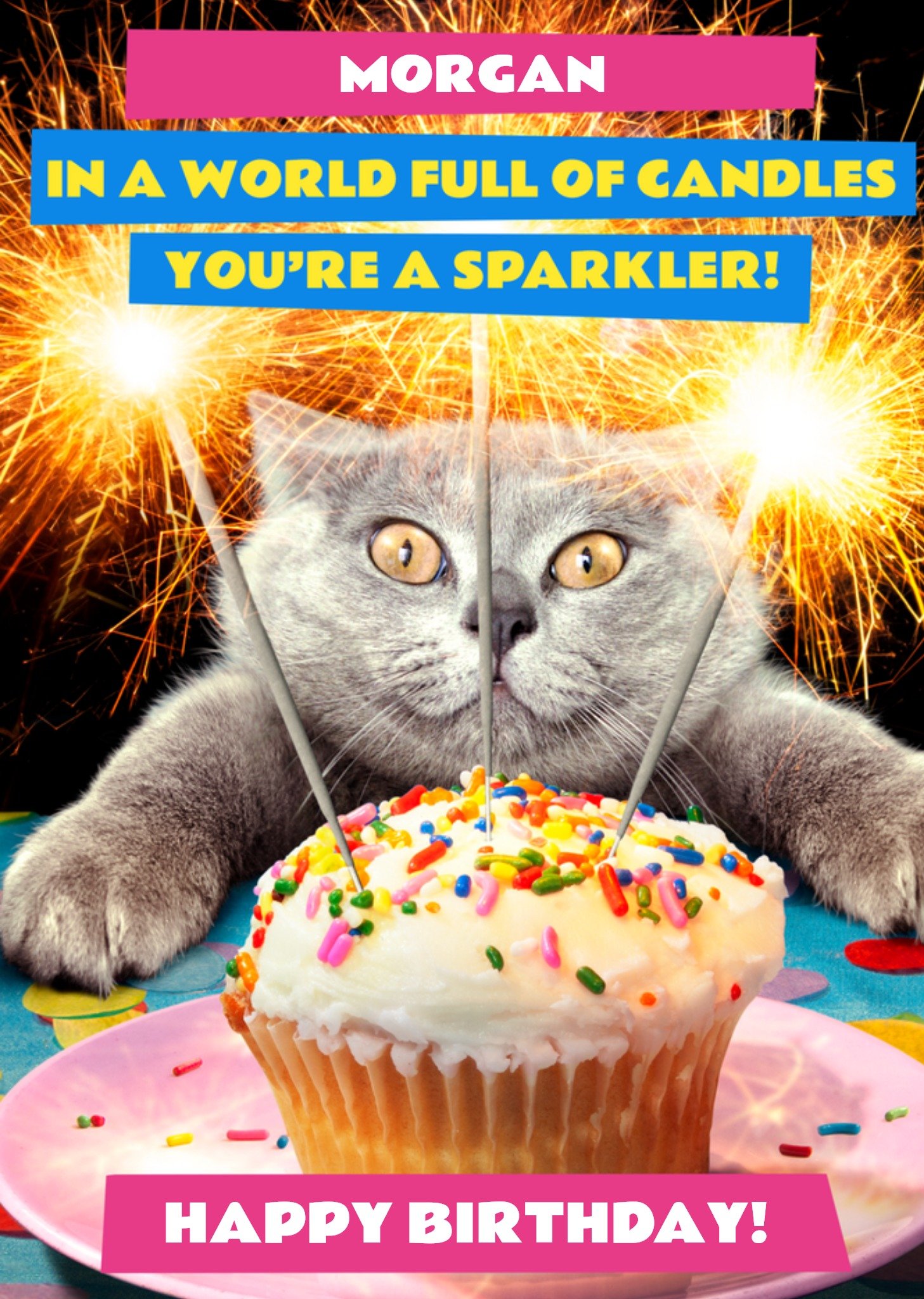 Moonpig Avanti In A World Full Of Candles You're A Sparkerler Funny Cat Birthday Card