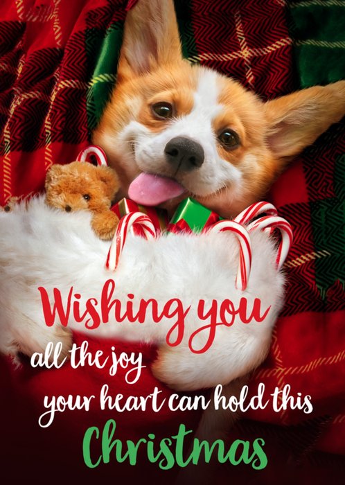 Cute Corgi All The Joy Your Heart Can Hold Christmas Card