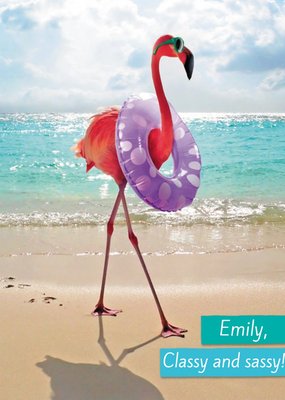 Funny Flamingo Classy And Sassy Birthday Card