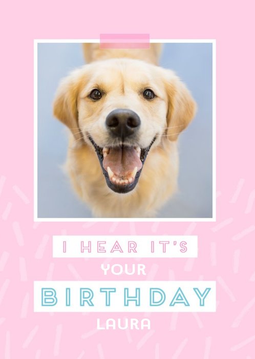 Illustration Of A Two Golden Retrievers Wearing Wellies Happy 60th Birthday Grandpa Card