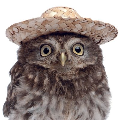 Cute Owl In Straw Hat Personalised Greetings Card
