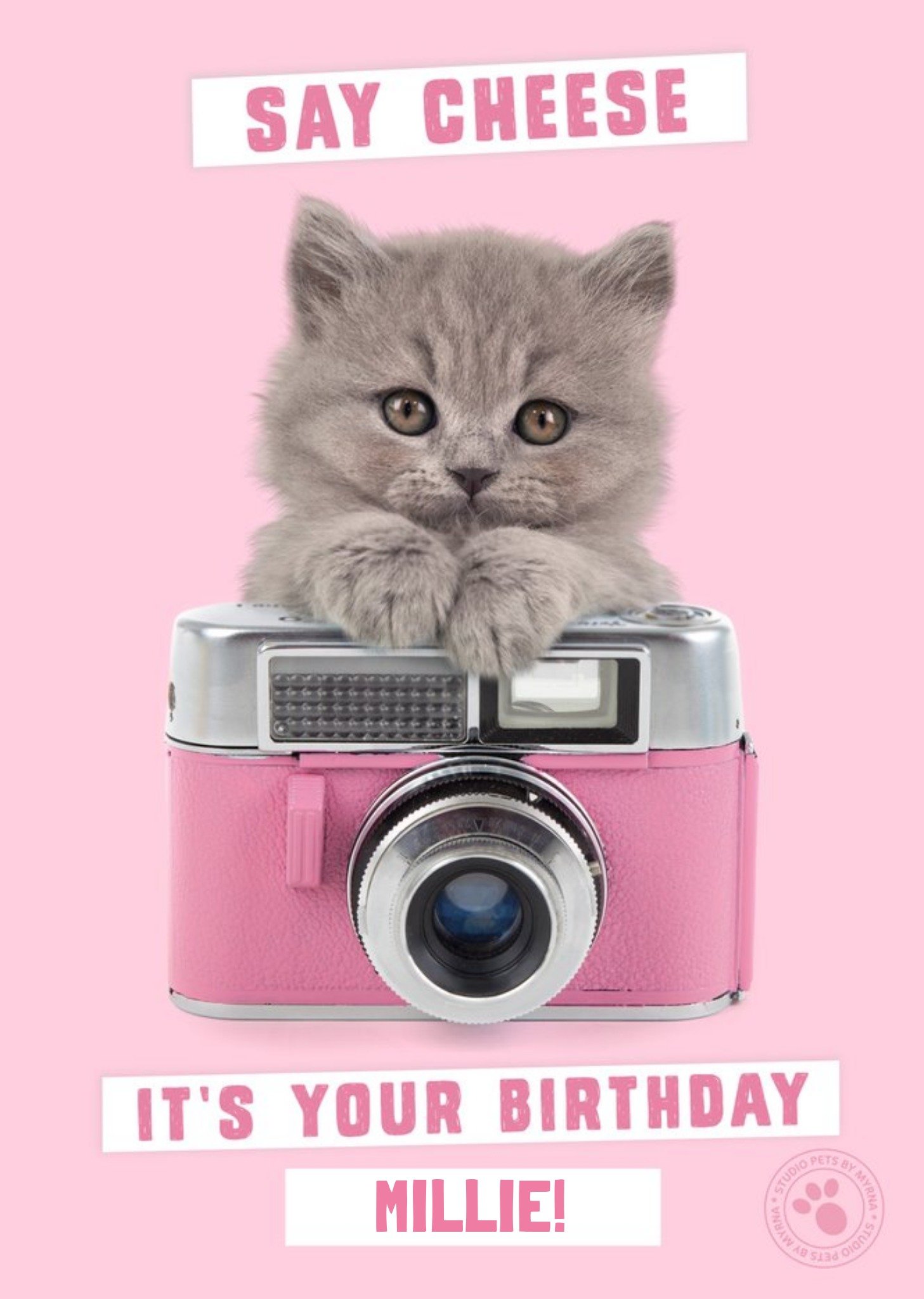 Studio Pets Little Kitten Holding Vintage Camera - Personalised Birthday Card