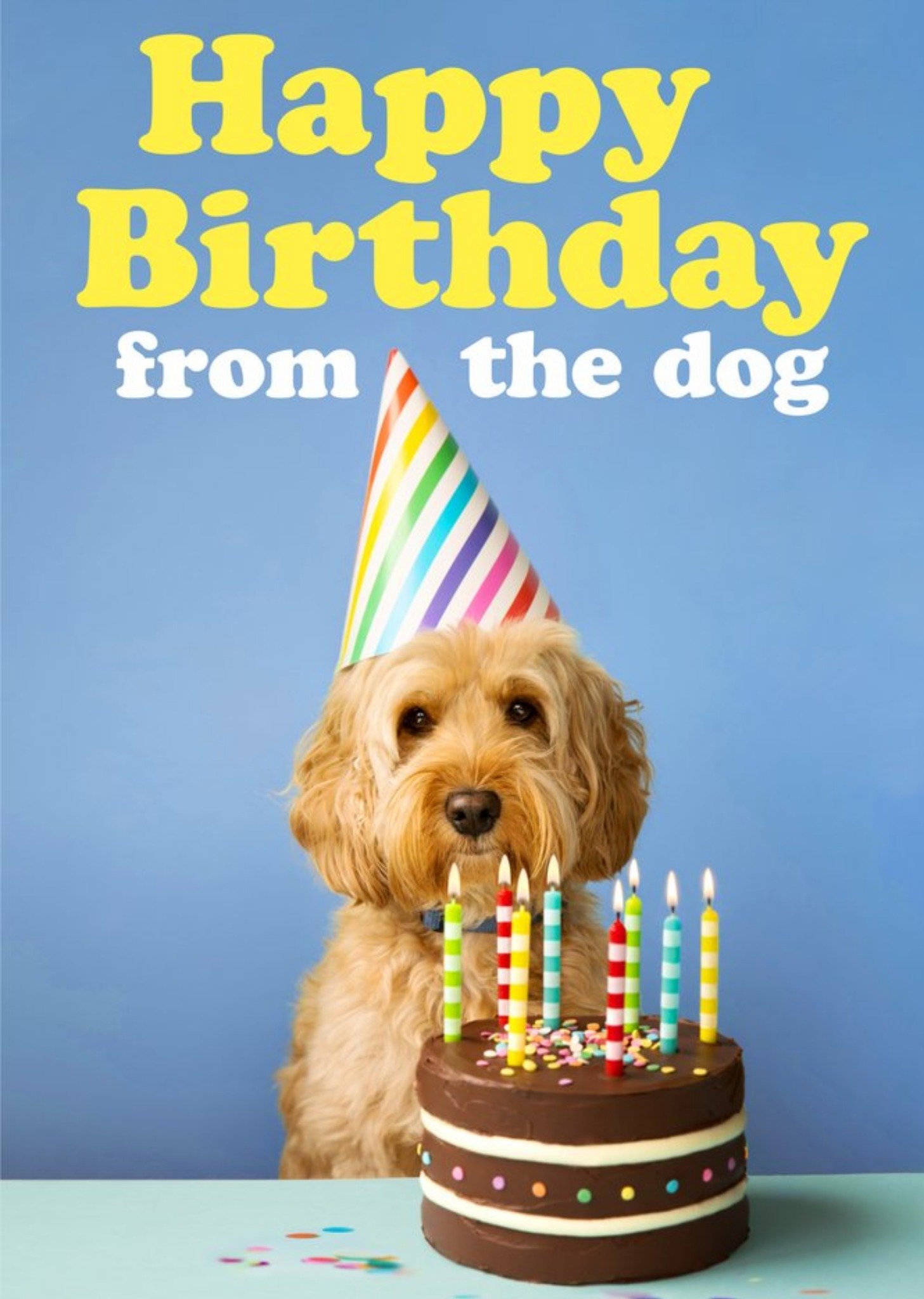 Moonpig Funny Happy Birthday From The Dog Card