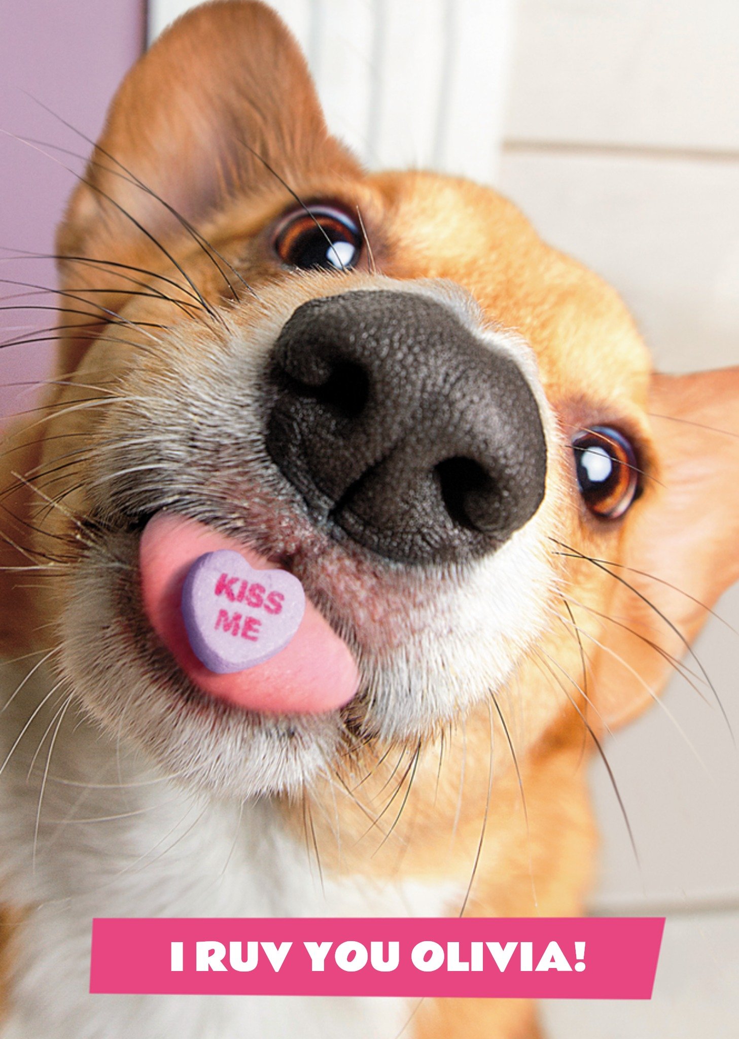 Moonpig Avanti I Ruv You Funny Dog Valentine's Day Card Ecard