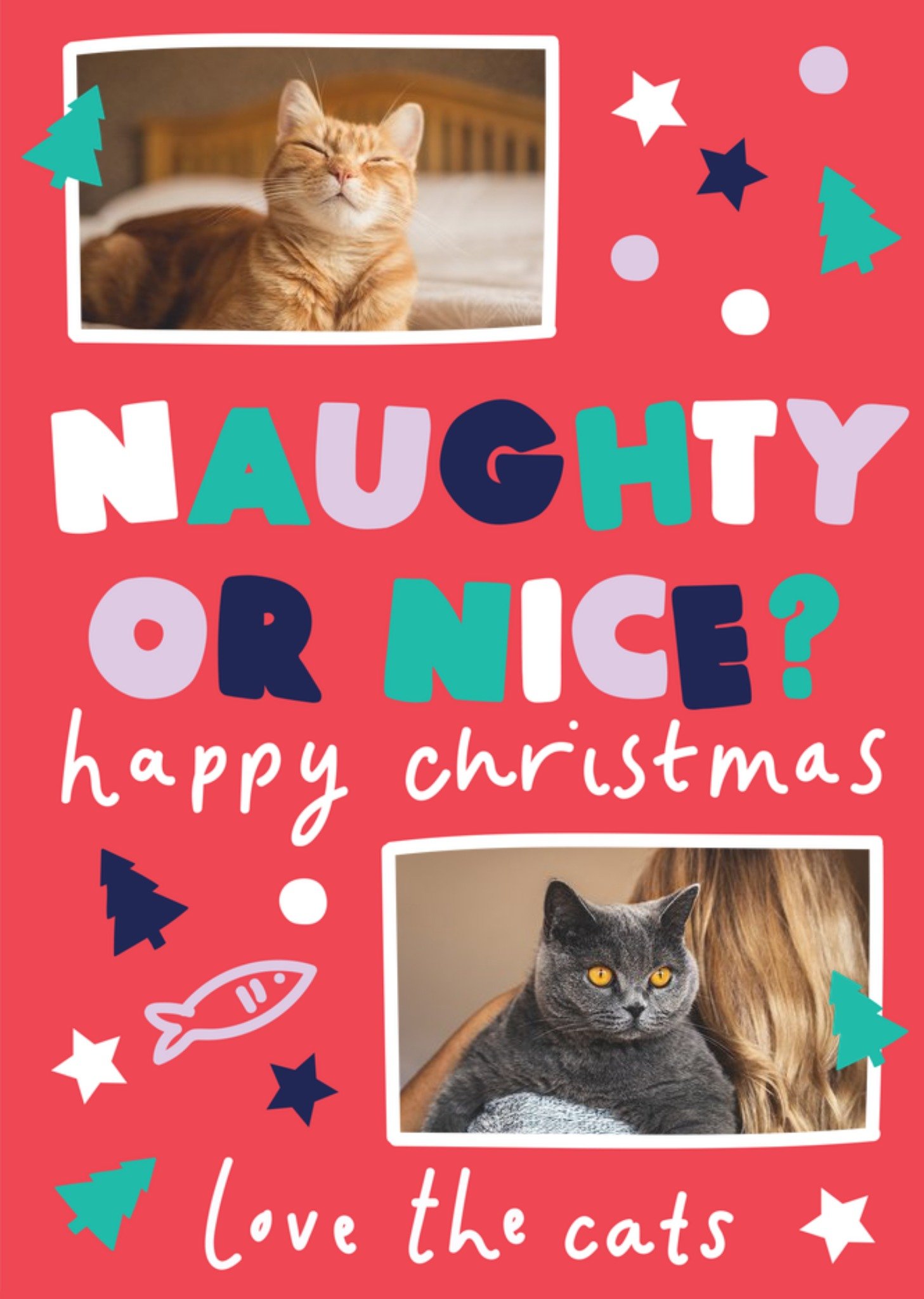 Moonpig Naughty Or Nice Love The Cats Photo Upload Christmas Card