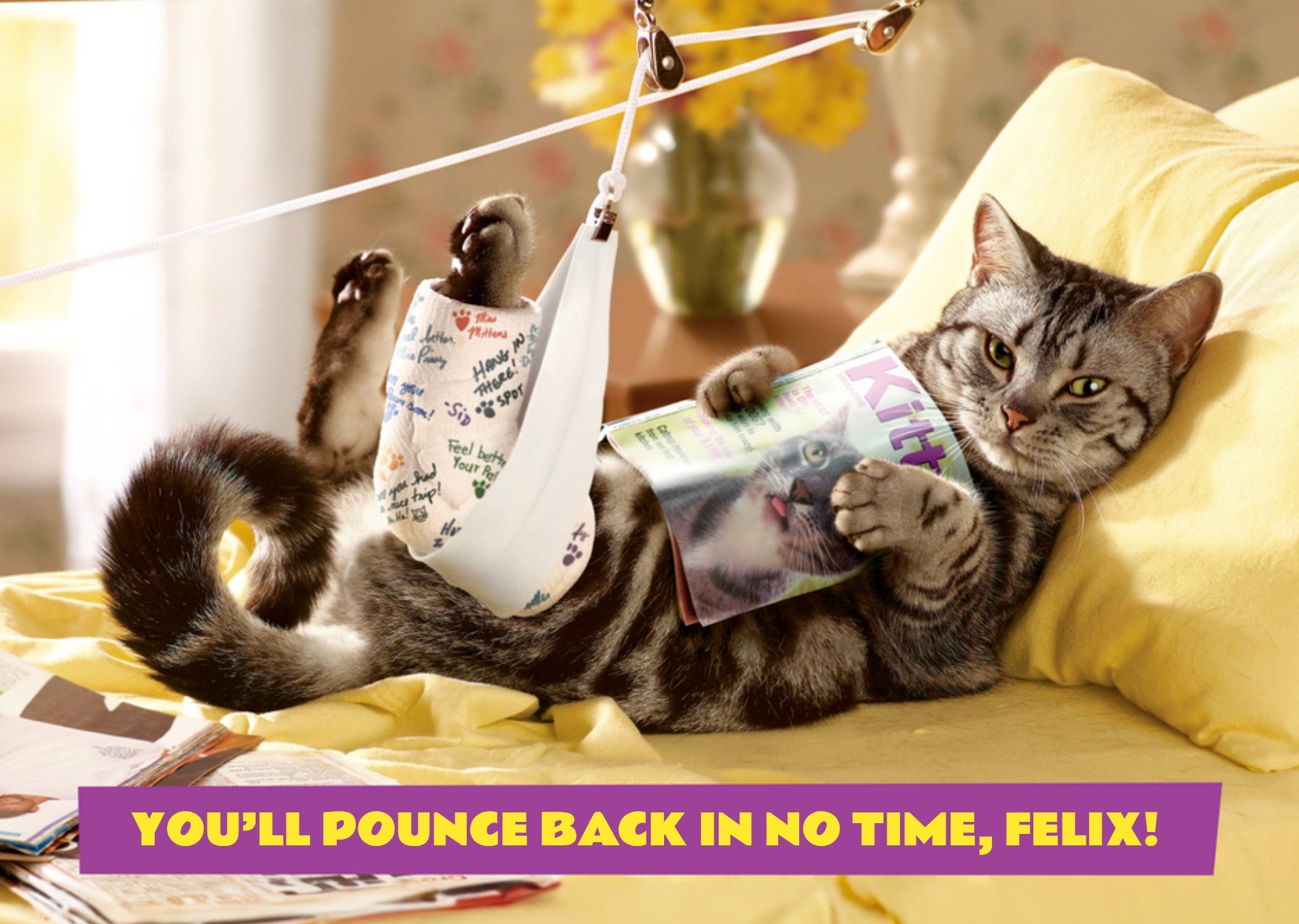 Moonpig Avanti You'll Pounce Back In No Time Funny Poorly Cat Get Well Card, Large