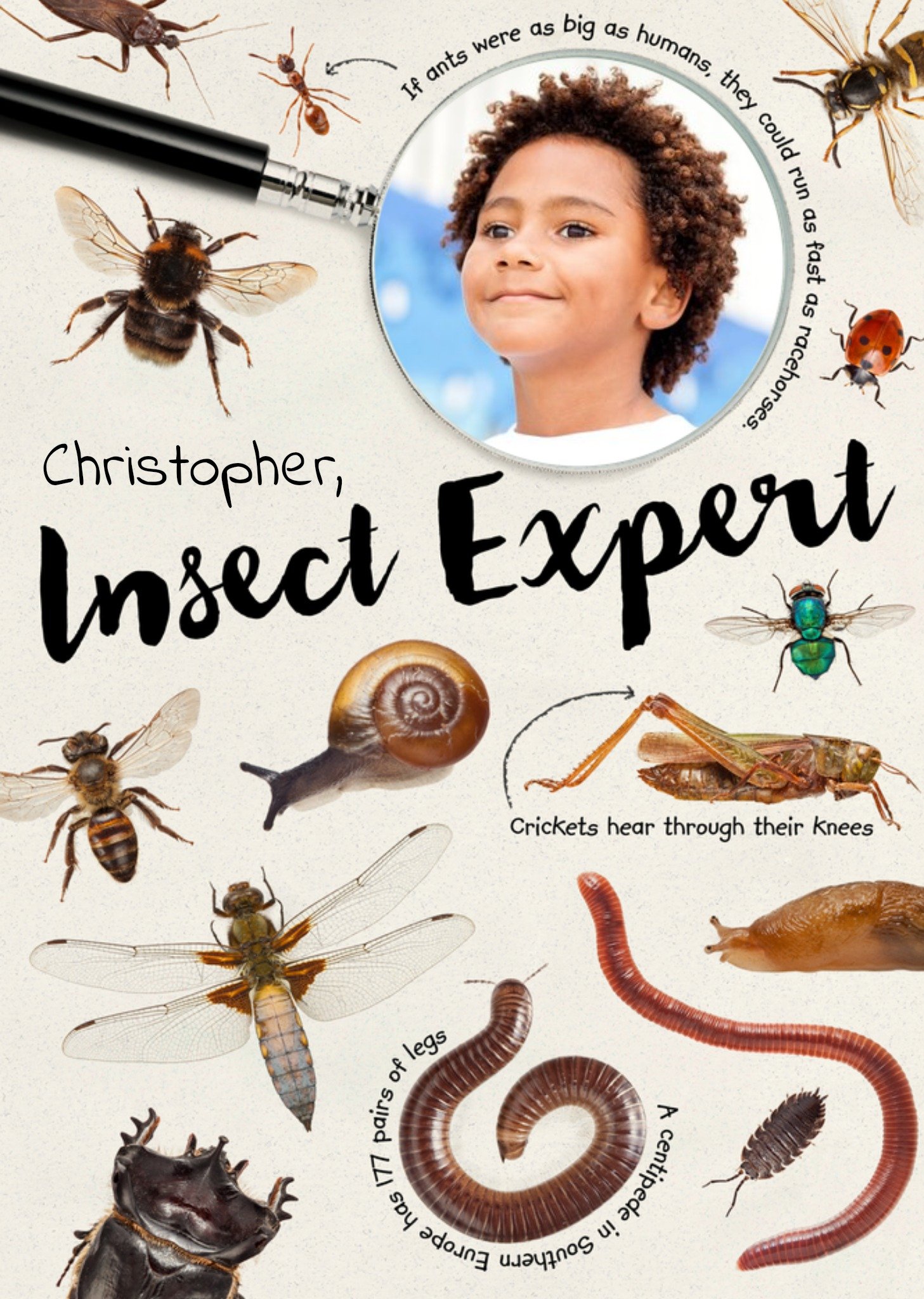 The Natural History Museum Insect Expert Photo Upload Card