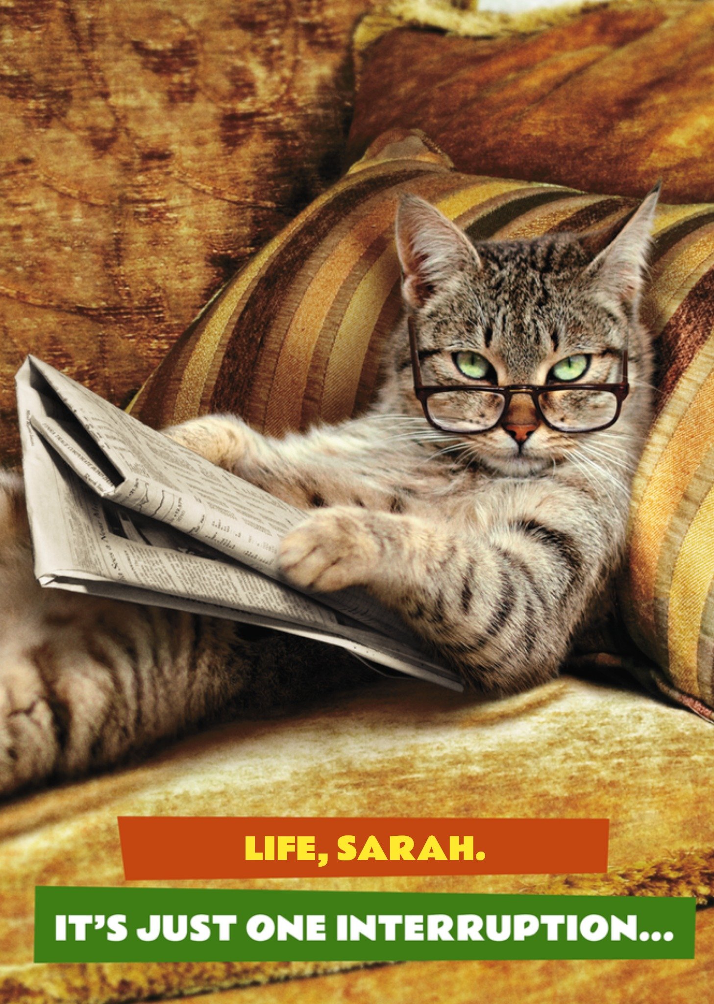 Moonpig Avanti It's Just One Interruption Funny Cat Birthday Card