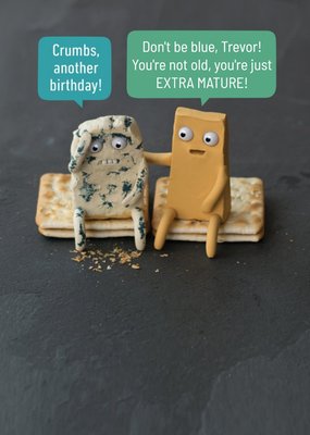 Cheese Pun Birthday Postcard