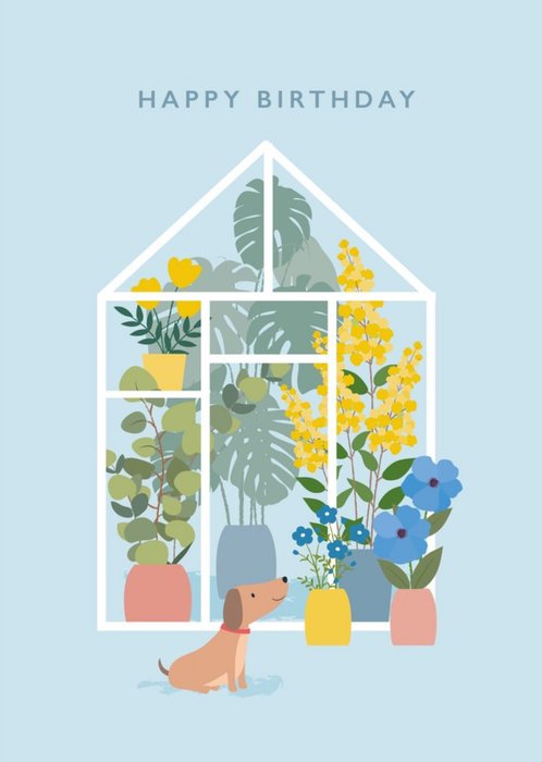 Klara Hawkins Greenhouse & Dog Birthday Greeting Card