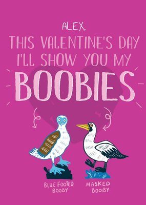 Funny Illustrated Booby Birds Valentines Card