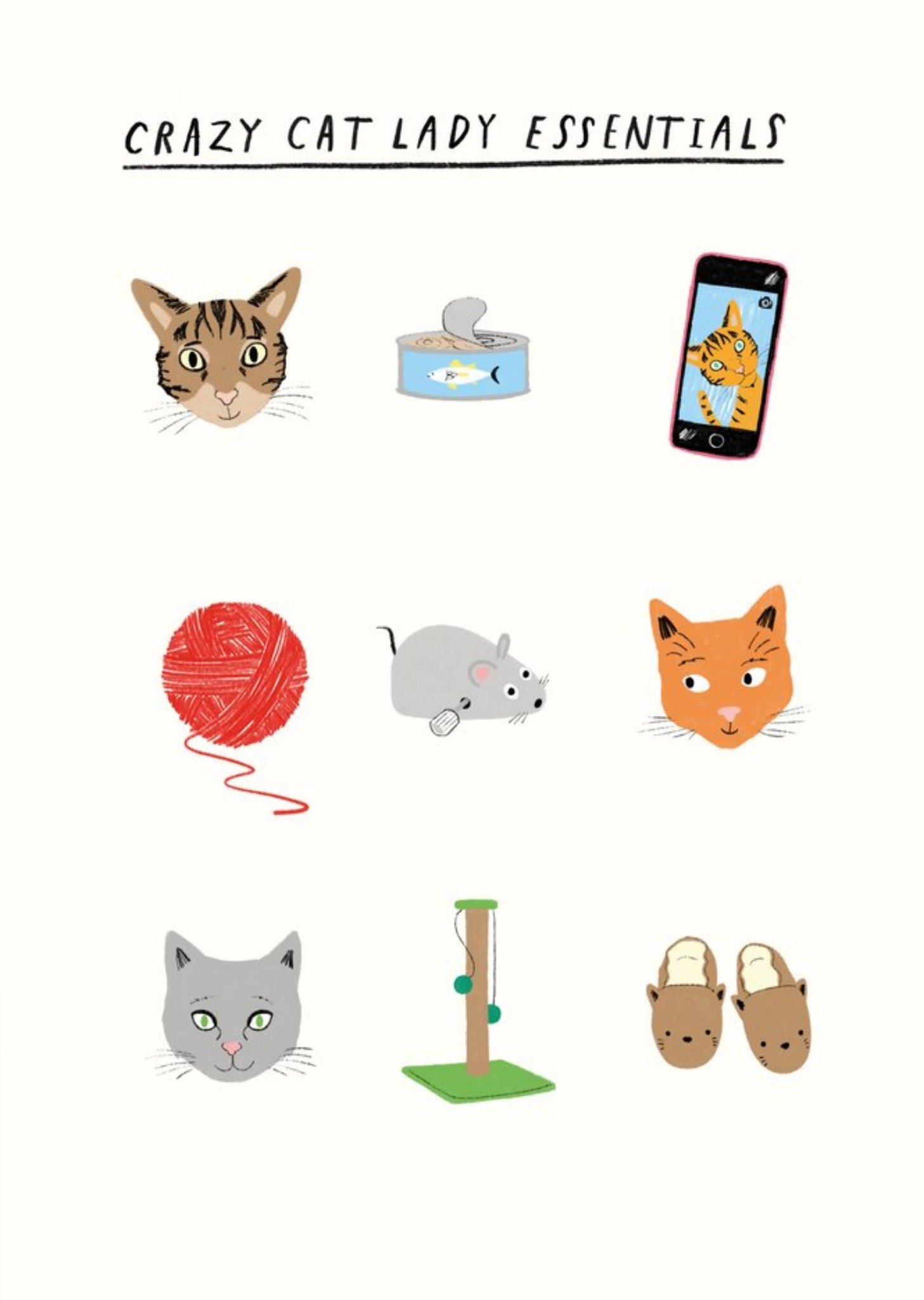 Moonpig Pigment 20th Century Icons Crazy Cat Lady Essentials Birthday Card