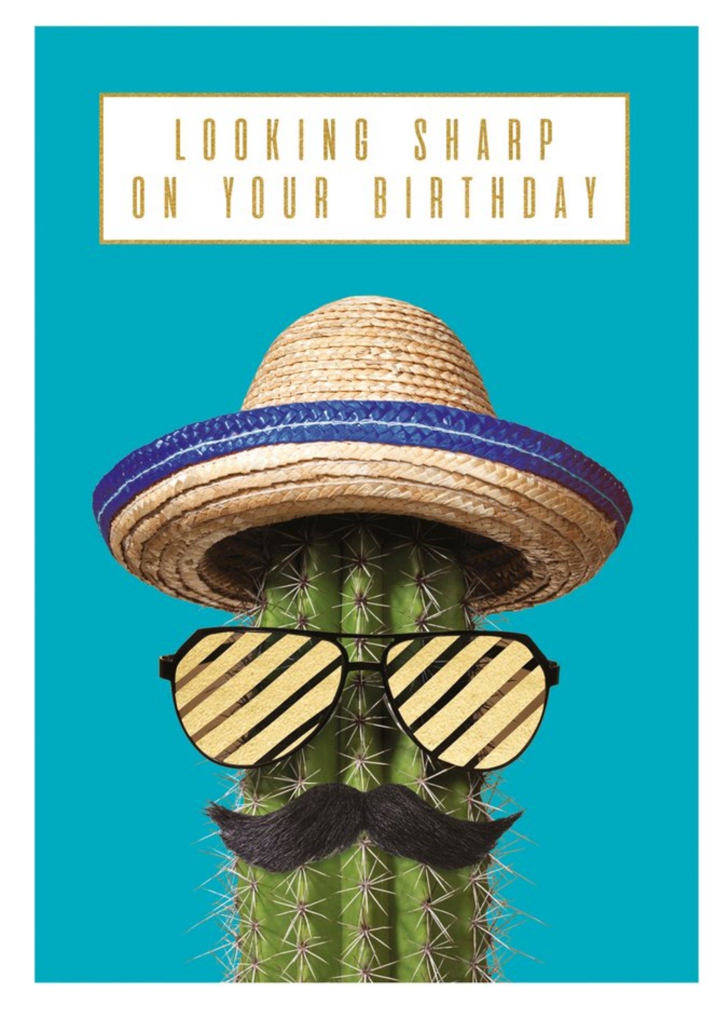 Moonpig Looking Sharp On Your Birthday Cactus Card