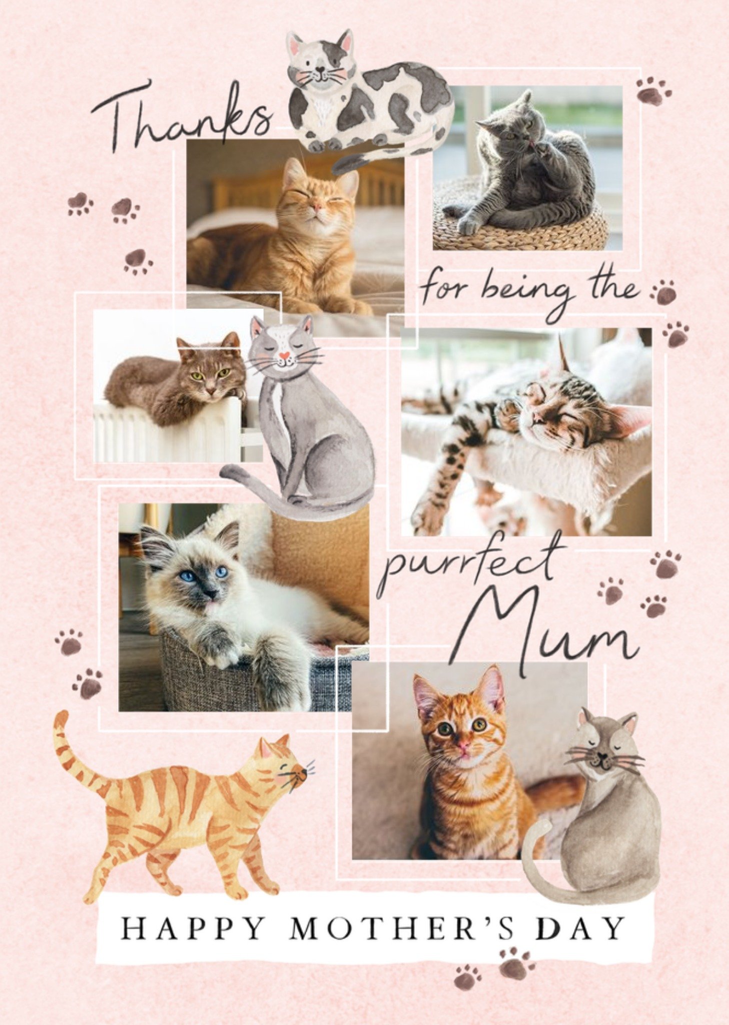 Moonpig Purrfect Mum Illustrated Cats Photo Upload Mother's Day Card